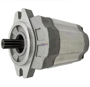 Graafmachine Piloot Tandwielpomp 4035495 Voor <span class=keywords><strong>Hitachi</strong></span> <span class=keywords><strong>Uh07</strong></span> <span class=keywords><strong>UH07</strong></span>-7 - Product Image 2