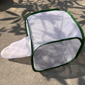 30x30x30cm Pop-up Insectes Papillons Moustique Mantis Habitat <span class=keywords><strong>Cages</strong></span> d'élevage avec manchon pour laboratoire Reserching et enseignement - Product Image 2