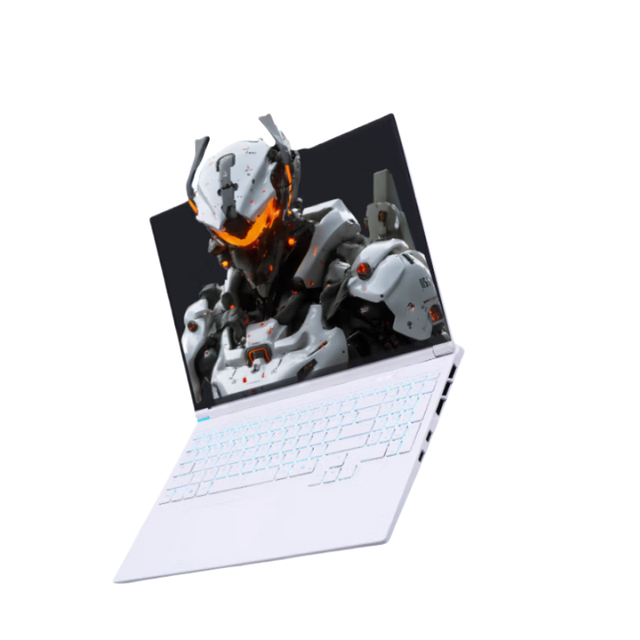 Mechanical Revolution X  I7-13700hx Gaming Laptop 16g/1ts 4060-8g 165h 2.5k Gray/White Screen 180hz