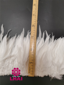 Plumas <span class=keywords><strong>de</strong></span> Gallo <span class=keywords><strong>de</strong></span> Primera Calidad para Disfraces <span class=keywords><strong>de</strong></span> Carnaval y Manualidades, Plumas <span class=keywords><strong>de</strong></span> Gallo Cosidas para <span class=keywords><strong>México</strong></span> - Product Image 3