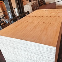 Contrachapado Estructural de Pino Radiata CDX de Primera Calidad, Ecológico e Impermeable de 18 mm para Construcción