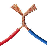 Fil électrique basse tension SDXL 18AWG en cuivre étamé, conducteur massif torsadé, isolation PE, pour usage domestique et solaire 450V/750V, bâtiment