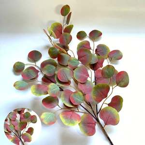 Branches d'eucalyptus artificielles légères et faciles à installer pour la mise en scène de biens locatifs, l'<span class=keywords><strong>immobilier</strong></span>, les visites ouvertes et la décoration intérieure - Product Image 4