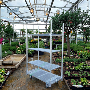 Chariot danois robuste galvanisé à chaud CC conteneur roulant serre chariot de Transport de fleurs chariot support de pépinière de plantes - Product Image 2