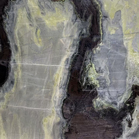 Traumgrüne Marmorplatte - Grüner Naturmarmor mit Dunkelgrünen Adern für Arbeitsplatten, Wände & Böden, Polierte Großplatte