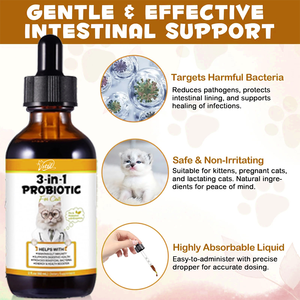 कुत्तों के लिए ओimमल 3-इन-1 प्रोबायोटिक्स बूट्स प्रतिरक्षा समर्थन आंत वनस्पति स्वास्थ्य बेकन स्वाद 60 मिलीलीटर - Product Image 3