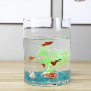 Tanque de acrílico para <span class=keywords><strong>acuario</strong></span> de cilindro grande, tanque de acrílico y vidrio para el hogar, accesorios para <span class=keywords><strong>peces</strong></span> y acuarios - Product Image 6