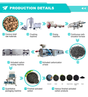 Four à charbon actif 30-40 kg/h en cosse de riz Petit four à carbonatation activée Pyrolyse du biochar en vente