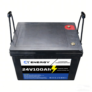 <span class=keywords><strong>2026</strong></span> CY 25.6V 100Ah LiFePO4 딥 사이클 에너지 저장 배터리 팩 BMS IP65 6000 사이클 - Product Image 5