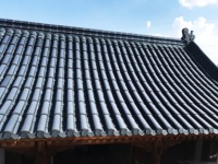 Tuile solaire courbée à haute efficacité pour la production d'énergie, adaptée aux toitures de maisons traditionnelles et d'immeubles historiques