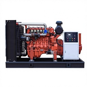 ביומסה ביוגז מחולל גז מתאן גז טבעי - Product Image 2