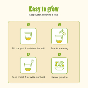 Kit di coltivazione per antipasti da giardino con insalata biologica-4 varietà vegetariane - Product Image 4