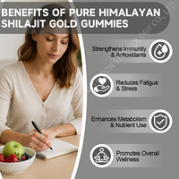 Compléments alimentaires OEM Shilajit Gold de l'Himalaya sans sucre, sans gluten, gommes naturelles pour adultes, Ashwagandha, énergie, vitalité, soutien immunitaire