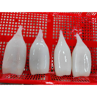 Tube de calmar frais congelé du Pérou / Tube de calmar Illex U3 U5 U7 U8 Vente en gros Exportation de Chine
