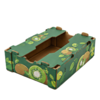 RDY Custom Kiwifruit Golfkartonnen Verpakking Tray Recycleerbare Kartonnen Fruitverzenddoos voor Vers Product