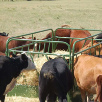 6 meter 6 posisi peralatan pembiakan sapi perah sapi Headlock Panel peternakan klip leher banteng aksesoris bingkai sapi