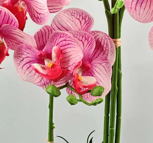Piccola Pianta Artificiale di Orchidea Phalaenopsis - Fiore Finto in <span class=keywords><strong>Vaso</strong></span> Ecologico Sempreverde Senza Necessità di Irrigazione per Capodanno, Laurea, Pasqua - Product Image 5