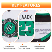 Maillot de hockey sur glace en twill de polyester respirant à 100 %, logo brodé personnalisé, patch écologique, séchage rapide, unisexe, adulte, puck