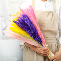 Rumput Pampas Kering Premium Buatan Tangan yang Diawetkan |   Gaya Boho untuk Dekorasi Pernikahan, Natal, Wisuda, dan Rumah - Tahan Lama 3-5 Tahun