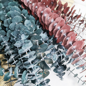 <span class=keywords><strong>Feuilles</strong></span> d'<span class=keywords><strong>eucalyptus</strong></span> préservées, fleurs séchées, bouquet d'<span class=keywords><strong>eucalyptus</strong></span> 'Copper Coin' préservé, <span class=keywords><strong>feuilles</strong></span> d'<span class=keywords><strong>eucalyptus</strong></span> séchées pour la décoration intérieure - Product Image 5