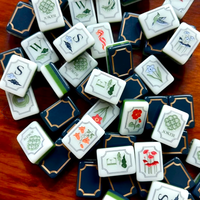 Livraison Rapide Nouveau Mahjong Américain 160 Tuiles Acrylique Casino Divertissement |   La table de mahjong du mardi |   le Kensington