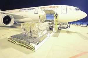 Самый дешевый сладкий Protrading превосходный <span class=keywords><strong>Karachi</strong></span> популярный экспедитор воздух в китайские грузовые компании - Product Image 5