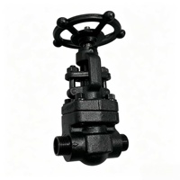 Vanne à soupape à souder en acier au carbone forgé PN20 avec volant OEM 1/2"-2" pour l'approvisionnement en huile, gaz, produits chimiques et eau
