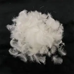 Pluma de pato blanca lavada de 1-2cm de venta directa de fábrica