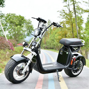 Scooter électrique Citycoco Loyal 2000W 60V homologué CEE, scooters Citycoco tendance / Scooter électrique Citycoco - Product Image 1