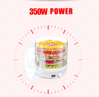 Snackdroger Veilige Energiebesparende Machine Eenvoudige Bediening Met Lage Ruis/Huishoudelijke Fruitdroogmachine