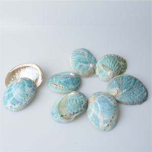 <span class=keywords><strong>Coquillages</strong></span> d'ormeau et <span class=keywords><strong>coquillages</strong></span> marins en vrac pour aménagement paysager d'aquarium, décoration photo d'intérieur et accessoires <span class=keywords><strong>de</strong></span> décoration - Product Image 2