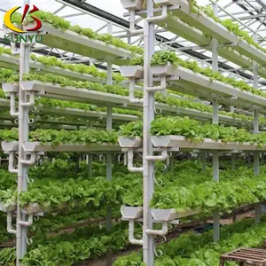 Foshan Kunyu soilless Kultur Gewächshaus Vertikale hydro po nische Anbaus ysteme für Salat