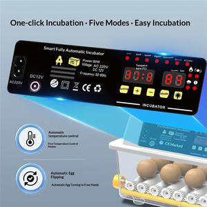 Máquina Automática de Cría de Aves de Corral con Ahorro de Energía, Incubadora de <span class=keywords><strong>Huevos</strong></span> de Alta Precisión con una Tasa de Incubación del 98% para Incubar de 6 a 230 <span class=keywords><strong>Huevos</strong></span> de <span class=keywords><strong>Gallina</strong></span> - Product Image 2