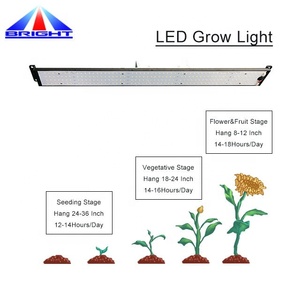 ชุดไฟปลูกพืช 100W พร้อมแผงไฟ LED กันน้ำแบบ Full Spectrum รุ่น LM301B/<span class=keywords><strong>H</strong></span> สีแดง 660nm อินฟราเรด 730nm อัลตราไวโอเลต 385nm ตัวเรือนอะลูมิเนียม สำหรับการออกดอก - Product Image 4