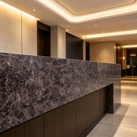 Marbre gris-violet profond contemporain, idéal pour les environnements intérieurs professionnels haut de gamme, murs décoratifs modernes pour salles de réunion
