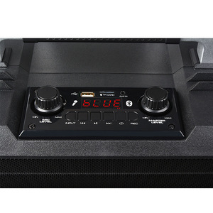 Enceinte Bluetooth d'extérieur Lion Music SL-2017 10 pouces avec microphones sans fil, batterie rechargeable et lumière LED colorée - Product Image 5
