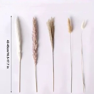 41 Uds. Batidor de hierba Pampa de caña en caja cola de conejo ramos de flores secas de hierba arreglos de flores de boda para el hogar Decoración - Product Image 3