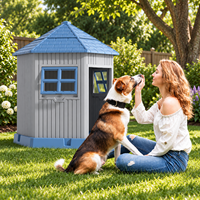 Maison pour animaux de compagnie en plastique personnalisée en usine, chenil extérieur imperméable avec fenêtre, OEM ODM disponible
