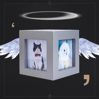 Özel ahşap bambu kedi tavşan paws pet tabut anıt keepsake tabut külleri urns ahşap kremasyon kutuları köpekler için toptan