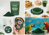 Vente chaude 2026 : Extrait de spiruline riche en vitamines, poudre de spiruline pour ingrédient de boisson