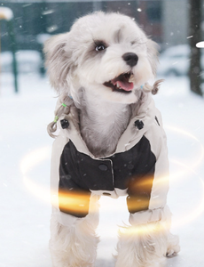 Combinaison imperméable et chaude pour chien, à quatre pattes, avec capuche, pour petits chiens - Product Image 2