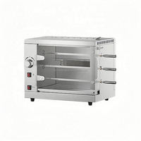 Four à rôtir rotatif professionnel de grande capacité pour poulet, au gaz ou au charbon de bois, pour restaurant commercial