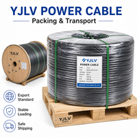 YJLV Low Voltage Aluminum Cable Bare Insulated 1*0.5 mm Class C Flame Retardant IP44 for Building Computer Construction
