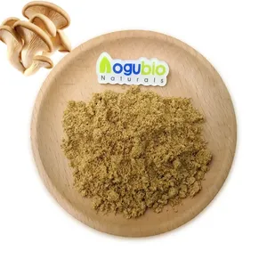 Pure Natural Organic Pleurotus ostreatus Oyster Mushroom Extract Pleurotus ostreatus Powder