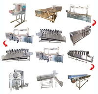 Ligne de production de chips de banane et de plantain DY 100-500 kg/h en acier inoxydable SUS 304, à moteur, pour petites entreprises