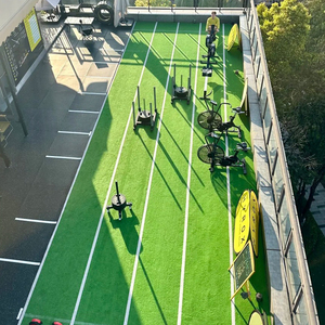 Césped Artificial HYROX Personalizado de Fábrica, Ecológico, Duradero, de Alta Densidad, Ignífugo, para Eventos Deportivos, Césped Sintético para Interiores - Product Image 1