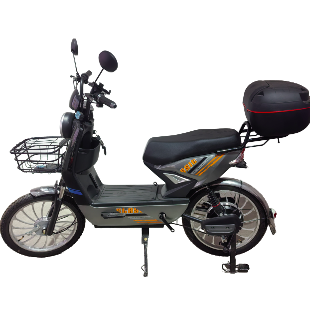 New Model Fast and Affordable Electric Bicycle. Electric Bicycle Manufacturer Wholesale for Adults with Fast Charging