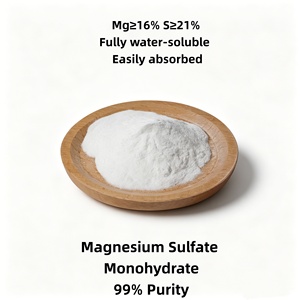 <span class=keywords><strong>Sulfate</strong></span> de magnésium monohydraté en poudre à 99 % de pureté, engrais agricole Kieserite, supplément de magnésium et de soufre pour les cultures - Product Image 1