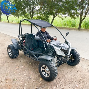 Kart buggy tout-terrain deux places pour adultes LNA 200cc, avec système audio - Product Image 1