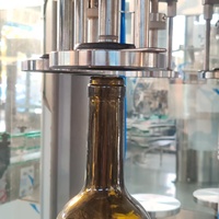 Machine de mise en bouteille pour la production de gin à petite échelle, machine de remplissage de bouteilles de vodka/whisky/liqueur/spiritueux